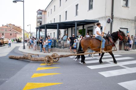 Fotografija - Foto atelje Postojna (15)